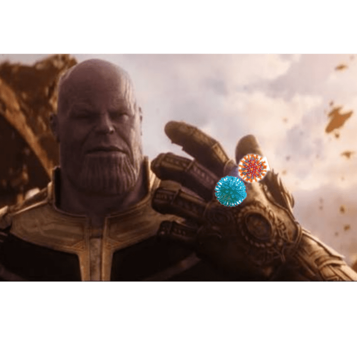 Memes choose Memes choose